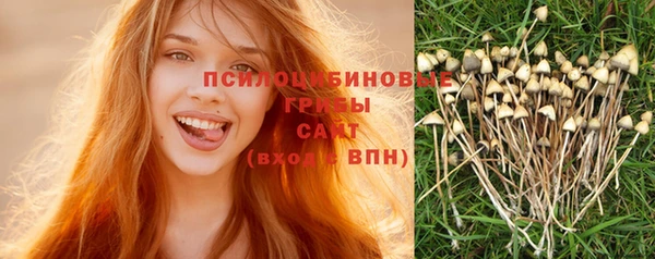 скорость Алексин
