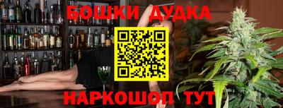 крисы Шебекино