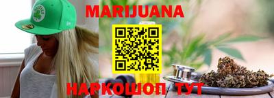 крисы Шебекино