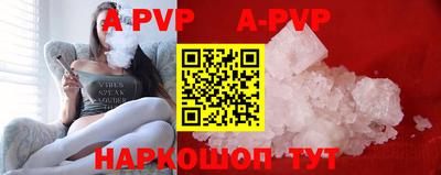 крисы Шебекино