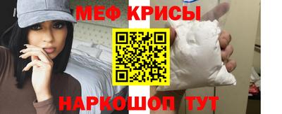крисы Шебекино