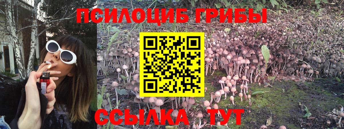 Псилоцибиновые грибы ЛСД  Псилоцибиновые грибы Cubensis  Вход с VPN  Иркутск 